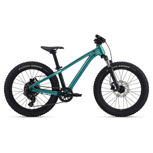 STP 20 FS-Giant One Size Teal