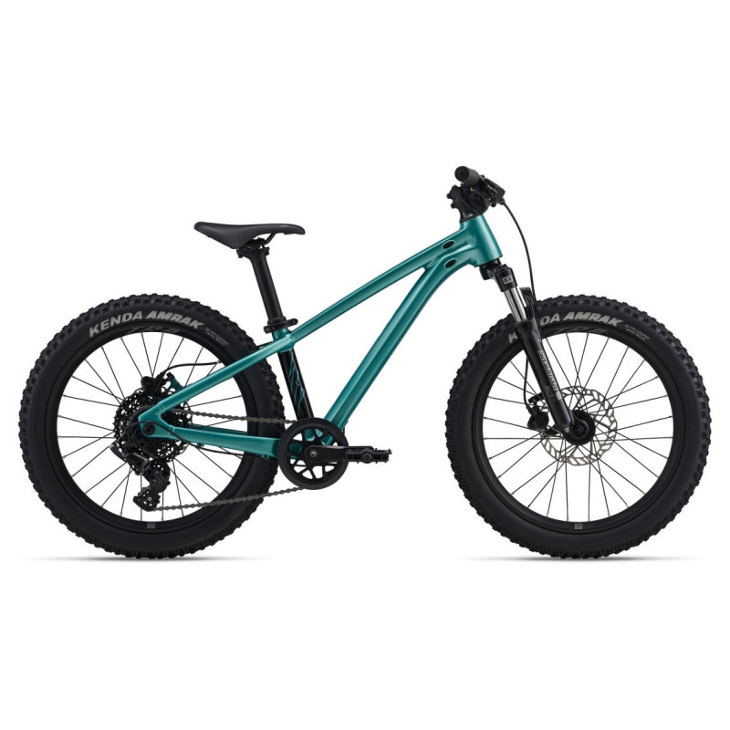 STP 20 FS-Giant One Size Teal
