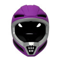 Image for Purple