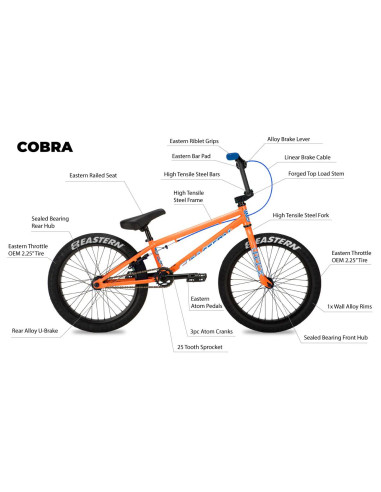 Eastern Cobra 20.0"TT Orange