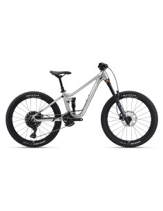 2025 Giant Faith 24" Raw Aluminum