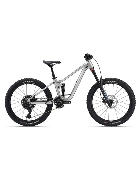 2025 Giant Faith 24" Raw Aluminum