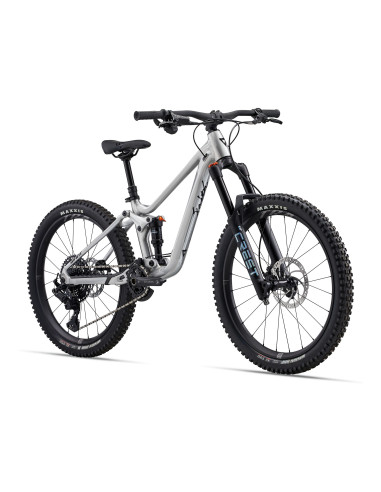 2025 Giant Faith 24" Raw Aluminum