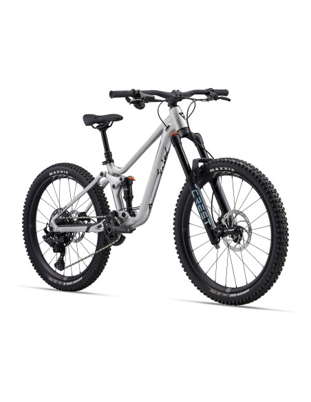 2025 Giant Faith 24" Raw Aluminum