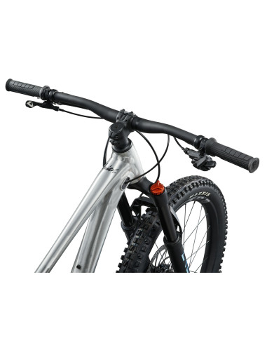 2025 Giant Faith 24" Raw Aluminum