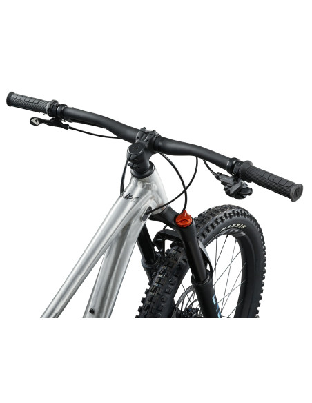 2025 Giant Faith 24" Raw Aluminum
