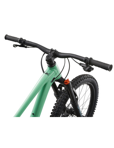 2025 Liv Faith 24" Neo Mint