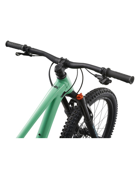 2025 Liv Faith 24" Neo Mint