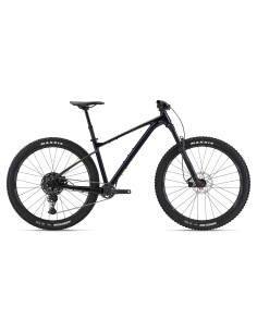 2024 Giant Fathom 29 2 Cold Night