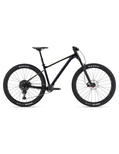 2024 Giant Fathom 29 2 Cold Night