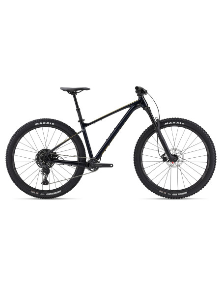 2024 Giant Fathom 29 2 Cold Night