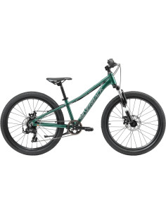 2025 Silverback Spyke 24 Disc Emerald Green
