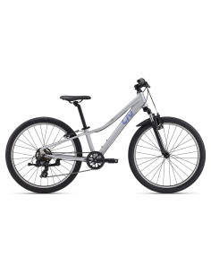 2024 Giant Tempt 24" Silver
