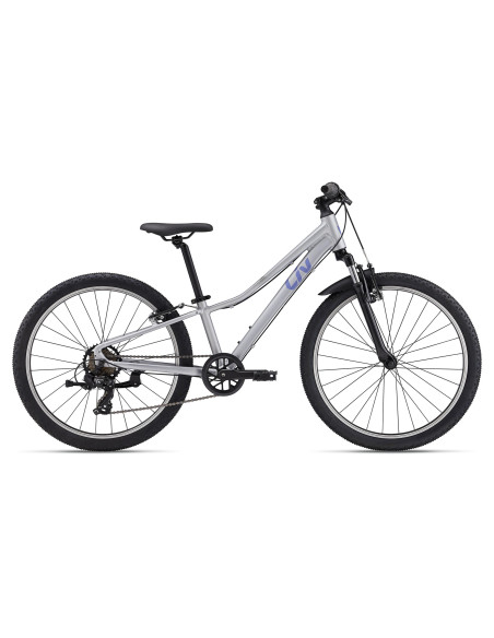 2024 Giant Tempt 24" Silver